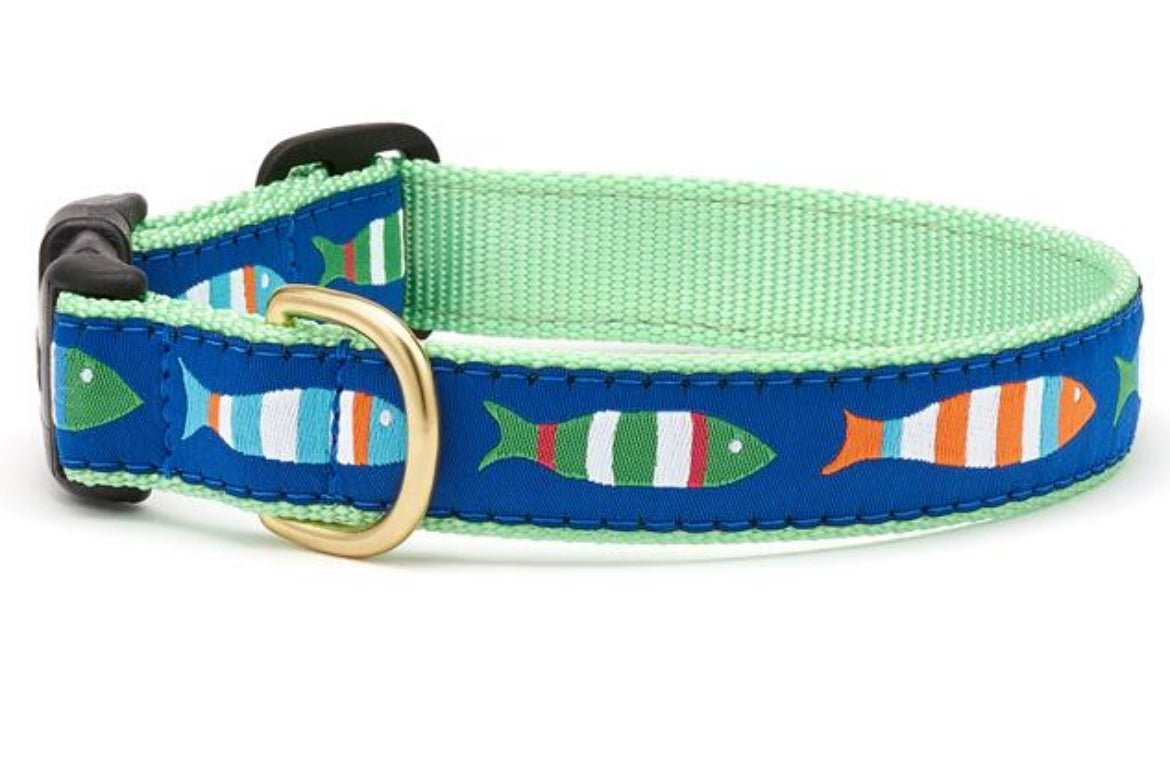 Cat Collar - Funky Fish - Gussied Up Pet Boutique