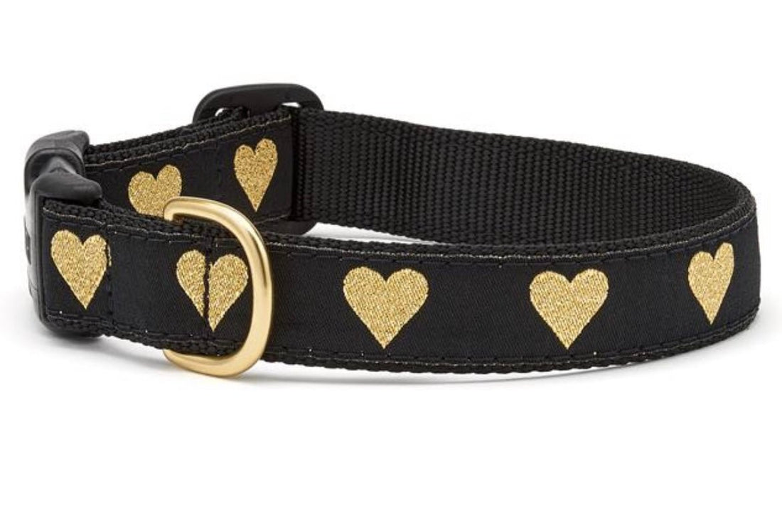 Cat Collar - Heart of Gold - Gussied Up Pet Boutique