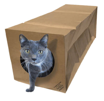 Cat Toy - Hide and Sneak - Gussied Up Pet Boutique