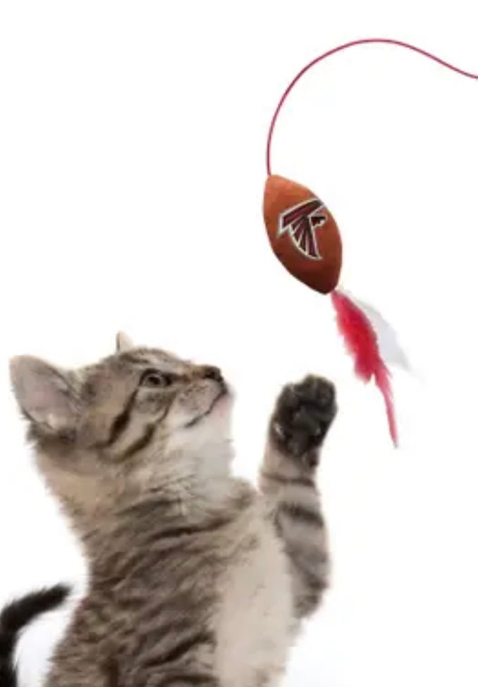 Sports Cat Wand Toy with Football and Feathers