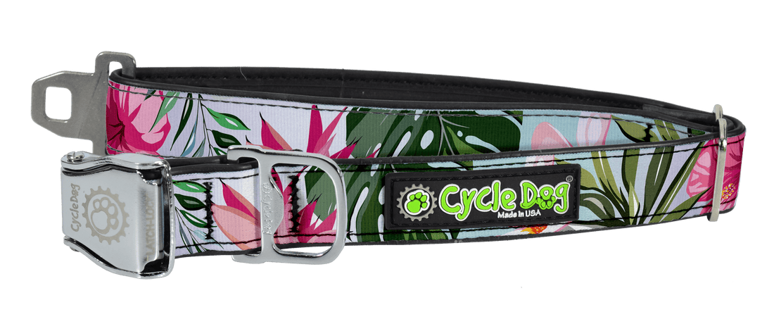 Cycle Dog - Tropical Floral - Gussied Up Pet Boutique