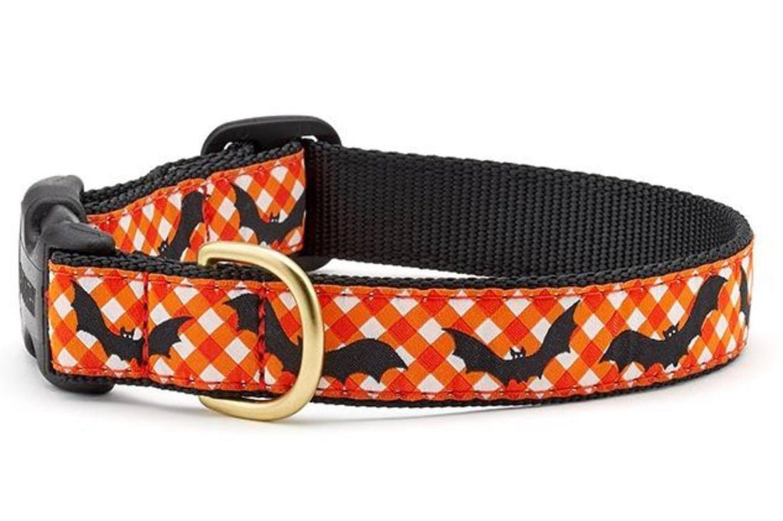 Dog Collar - Batty - Gussied Up Pet Boutique
