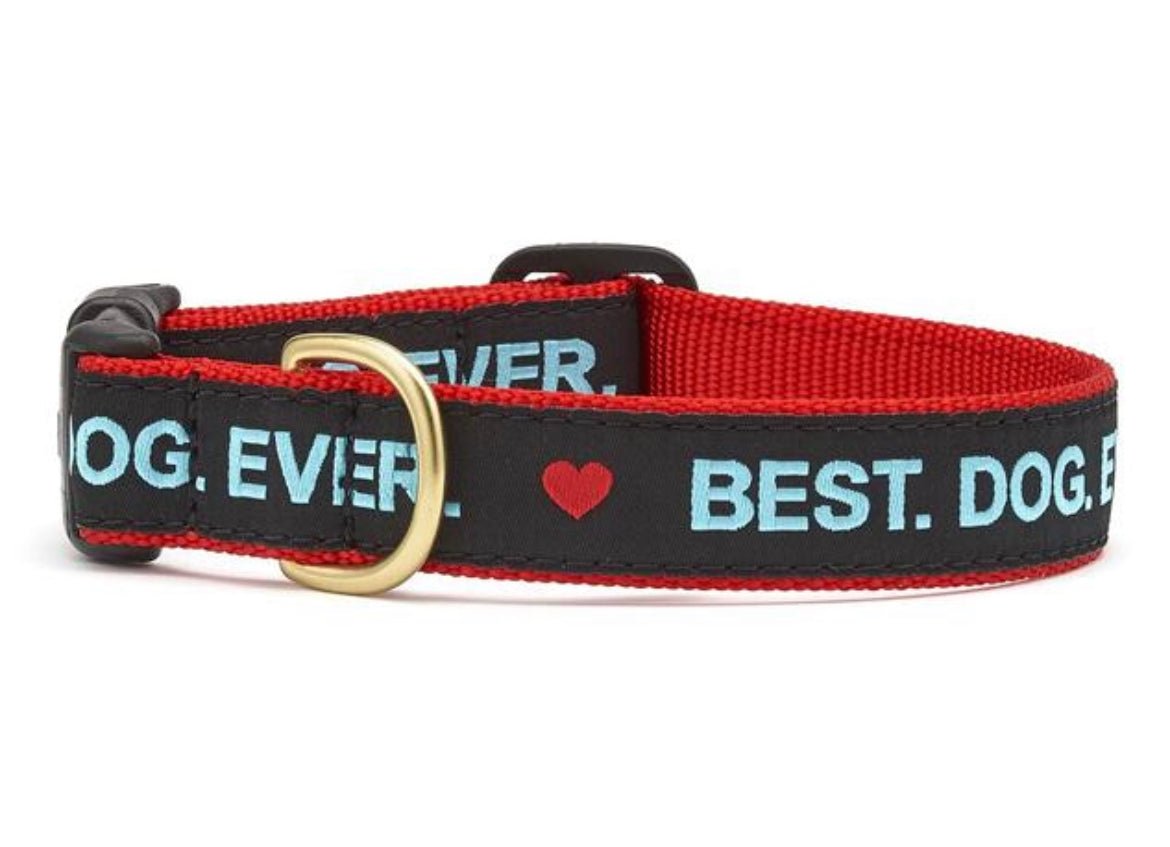 Dog Collar - Best.Dog.Ever - Gussied Up Pet Boutique