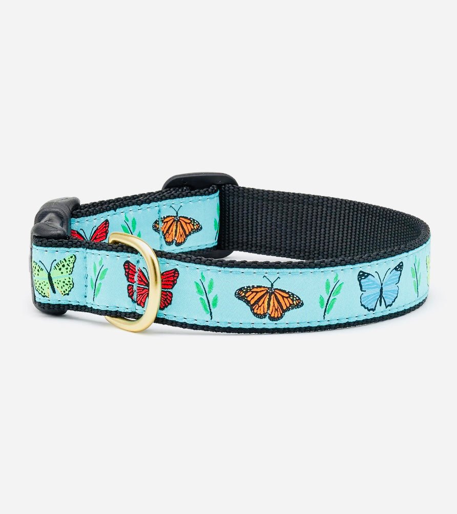 Dog Collar - Butterfly - Gussied Up Pet Boutique