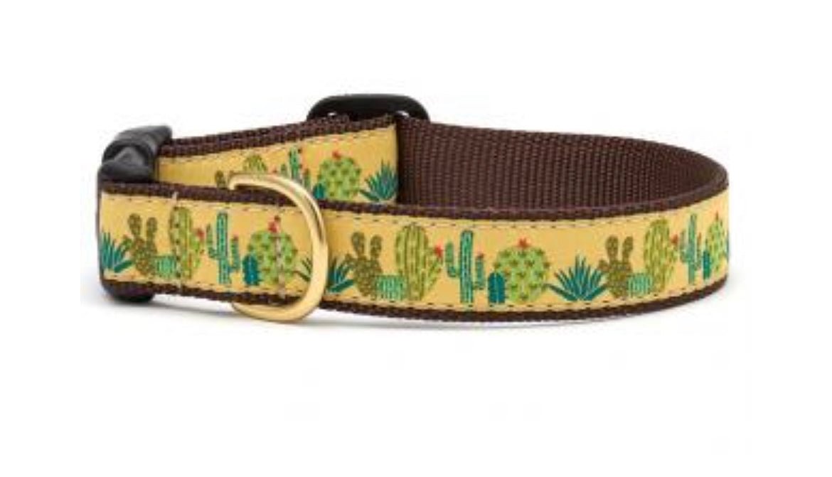 Dog Collar - Cactus - Gussied Up Pet Boutique