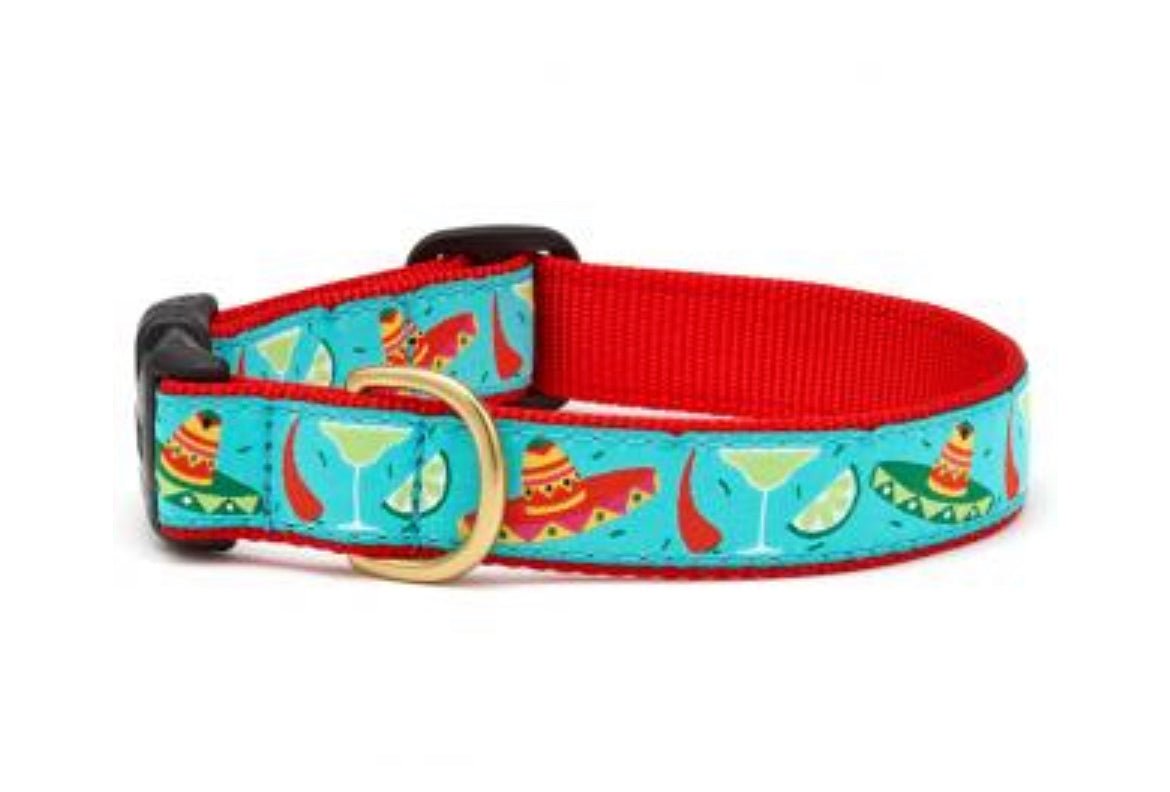 Dog Collar - Cinco de Mayo - Gussied Up Pet Boutique