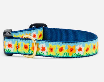 Dog Collar - Daffodil - Gussied Up Pet Boutique