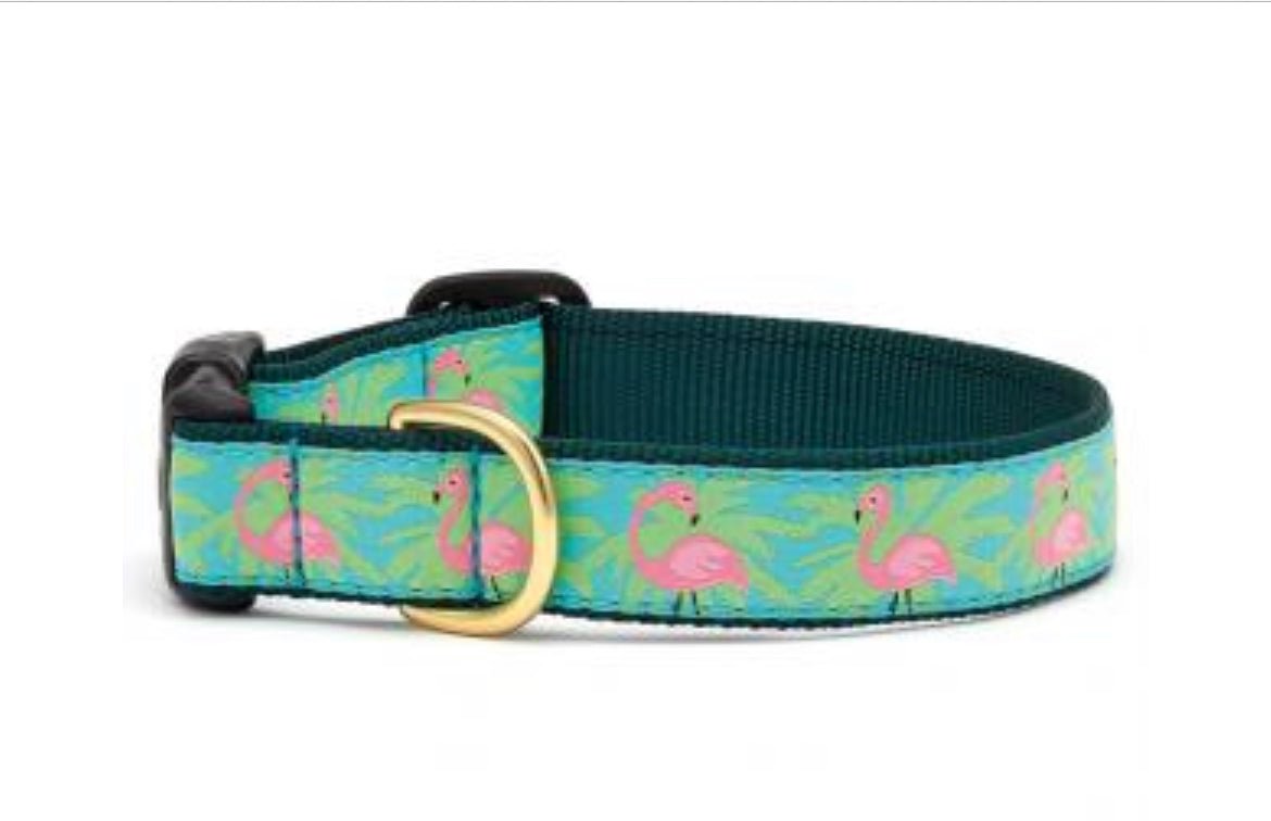 Dog Collar - Flamingo - Gussied Up Pet Boutique