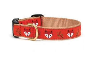 Dog Collar - Fox - Gussied Up Pet Boutique