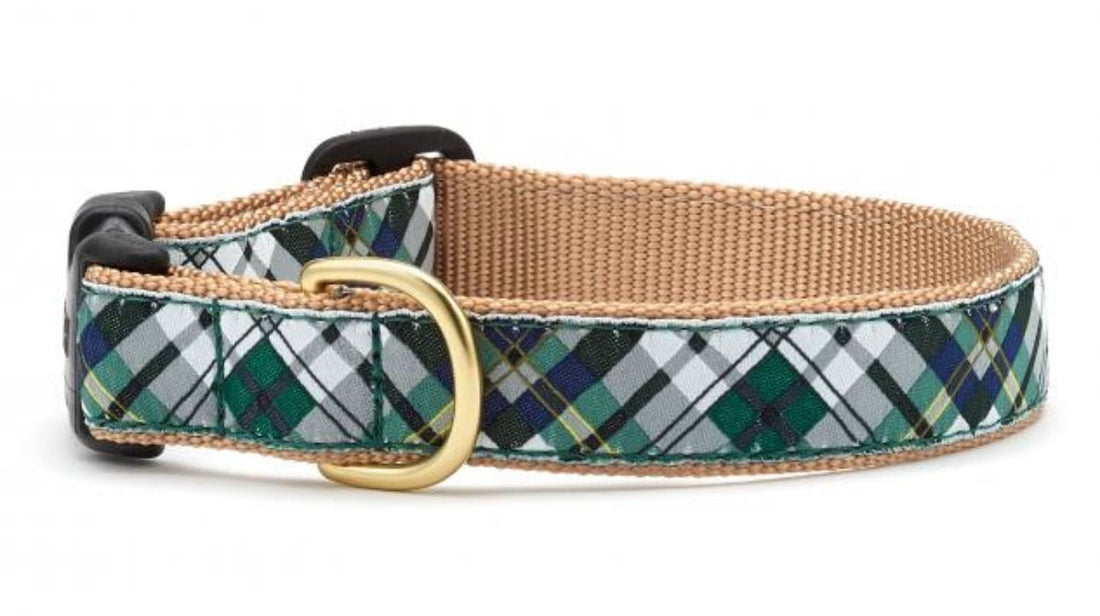 Dog Collar - Green Gordon Plaid - Gussied Up Pet Boutique