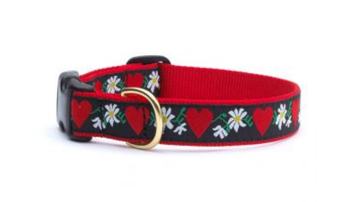 Dog Collar - Hearts and Flowers - Gussied Up Pet Boutique