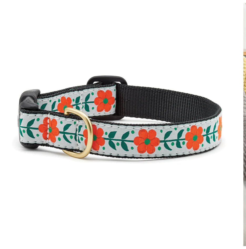 Dog Collar - Orange Flower - Gussied Up Pet Boutique