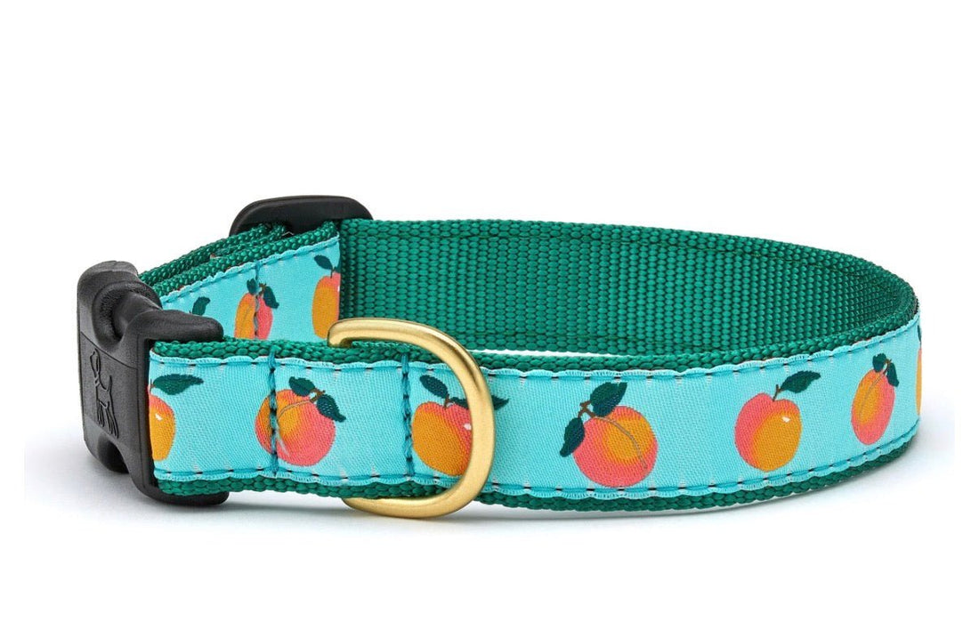 Dog Collar - Peaches - Gussied Up Pet Boutique