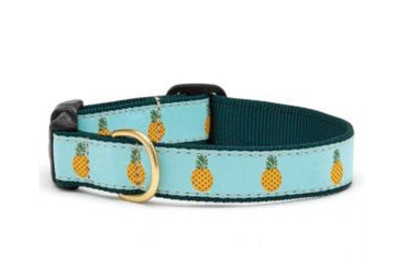 Dog Collar - Pineapple - Gussied Up Pet Boutique