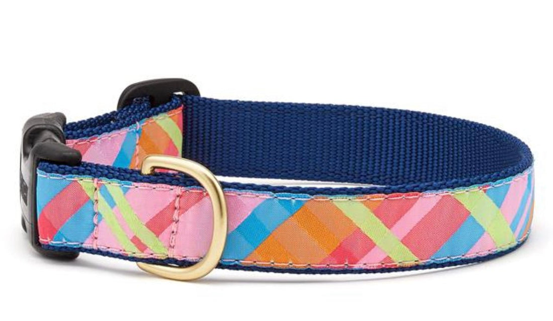 Dog Collar - Pink Madras Plaid - Gussied Up Pet Boutique