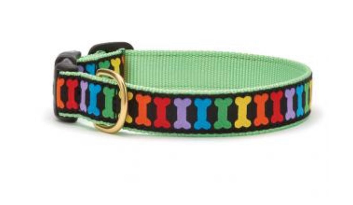 Dog Collar - Rainbones - Gussied Up Pet Boutique