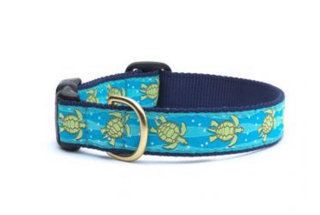 Dog Collar - Sea Turtle - Gussied Up Pet Boutique