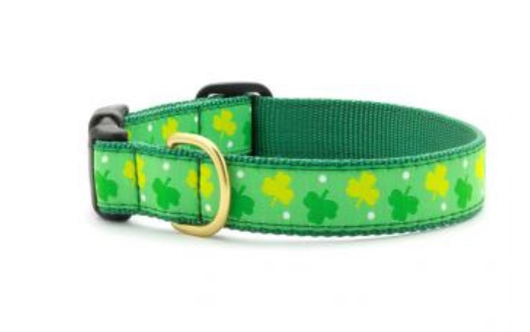 Dog Collar - Shamrocks - Gussied Up Pet Boutique