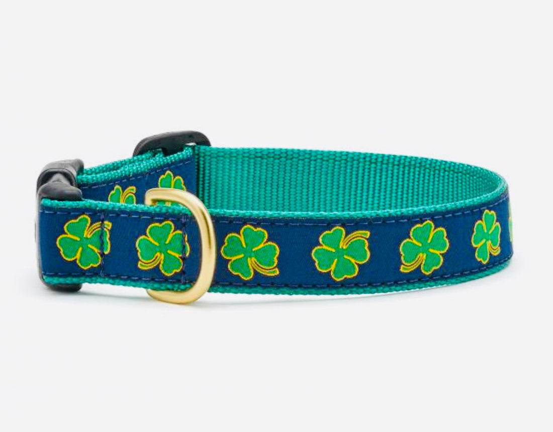 Dog Collar - Shamrocks Navy - Gussied Up Pet Boutique