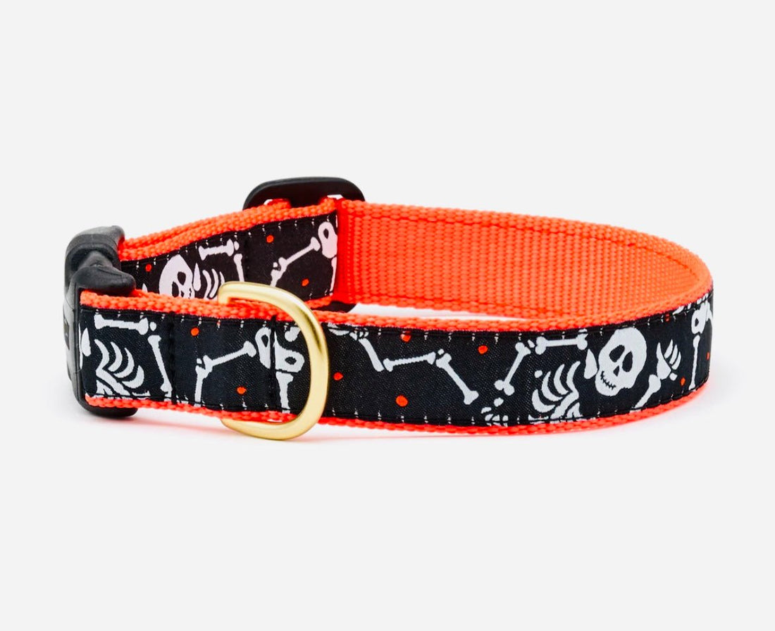 Skeleton Dog Collar – Up Country