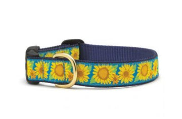 Dog Collar - Sunflower - Gussied Up Pet Boutique