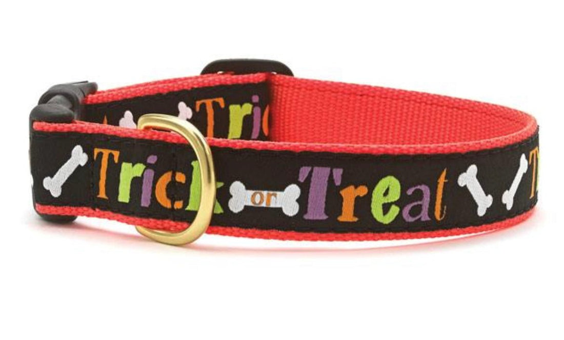 Dog Collar - Trick or Treat - Gussied Up Pet Boutique