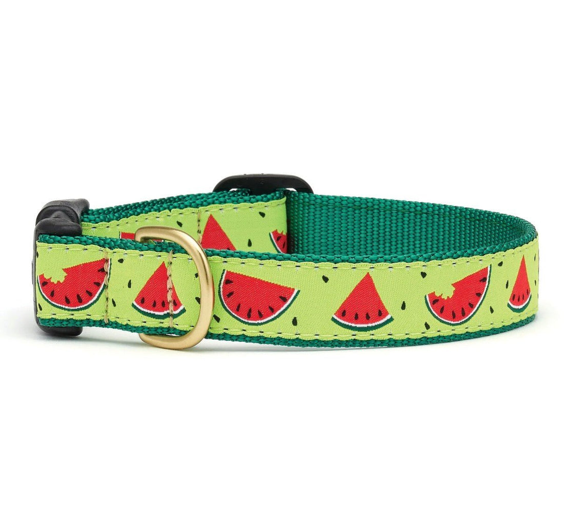 Dog Collar - Watermelons - Gussied Up Pet Boutique