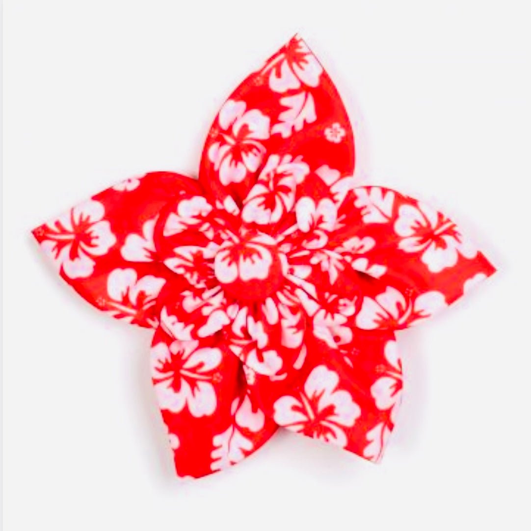 Flower - Aloha Pink - Gussied Up Pet Boutique