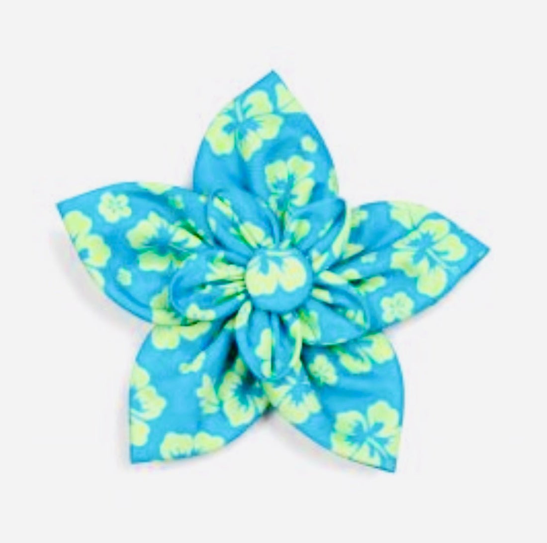 Flower - Aloha Turquoise - Gussied Up Pet Boutique
