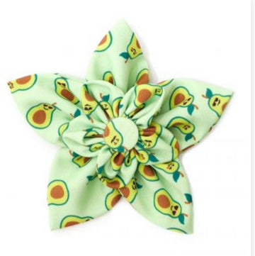 Flower - Avocado - Gussied Up Pet Boutique
