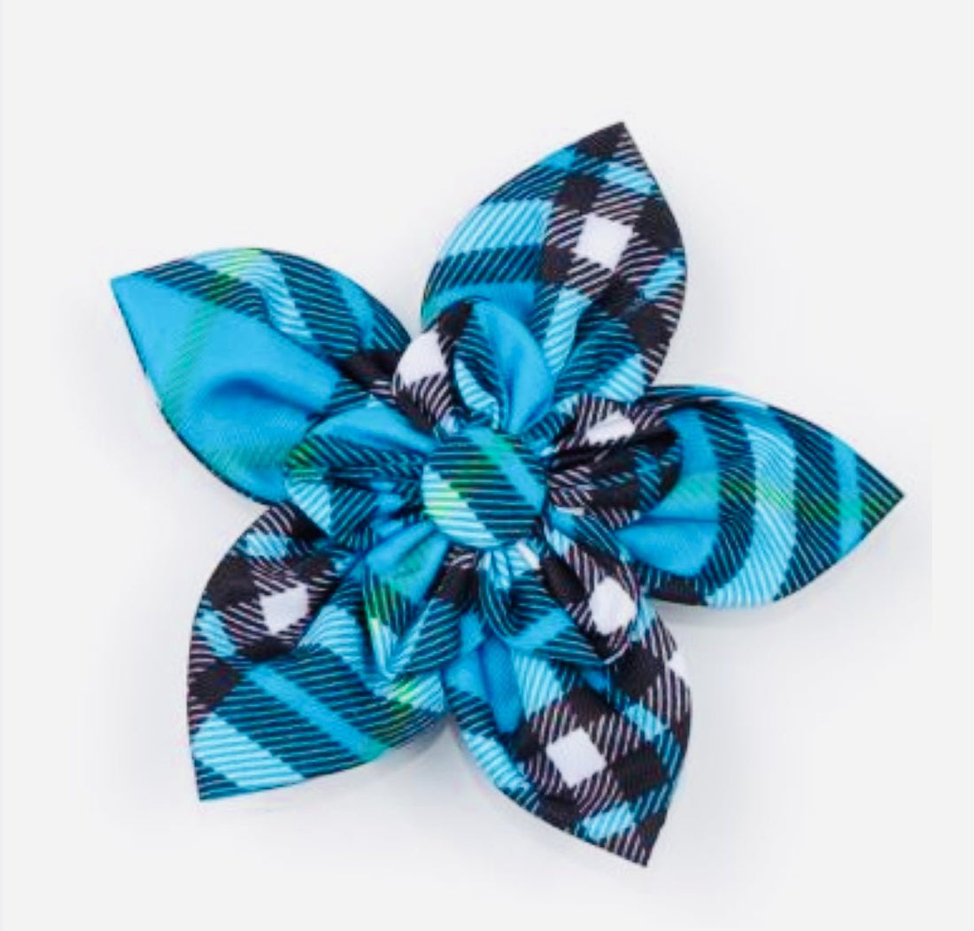 Flower - Blue Plaid - Gussied Up Pet Boutique