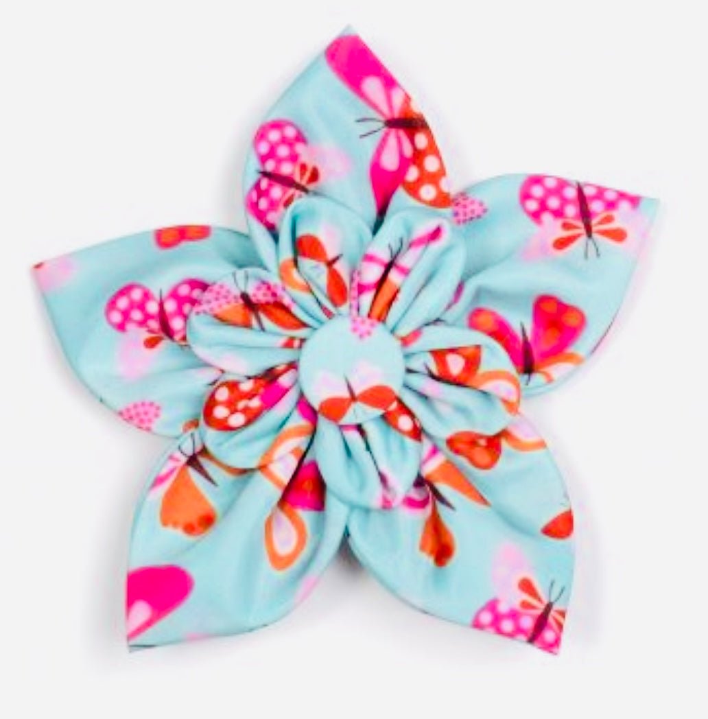 Flower - Butterflies - Gussied Up Pet Boutique