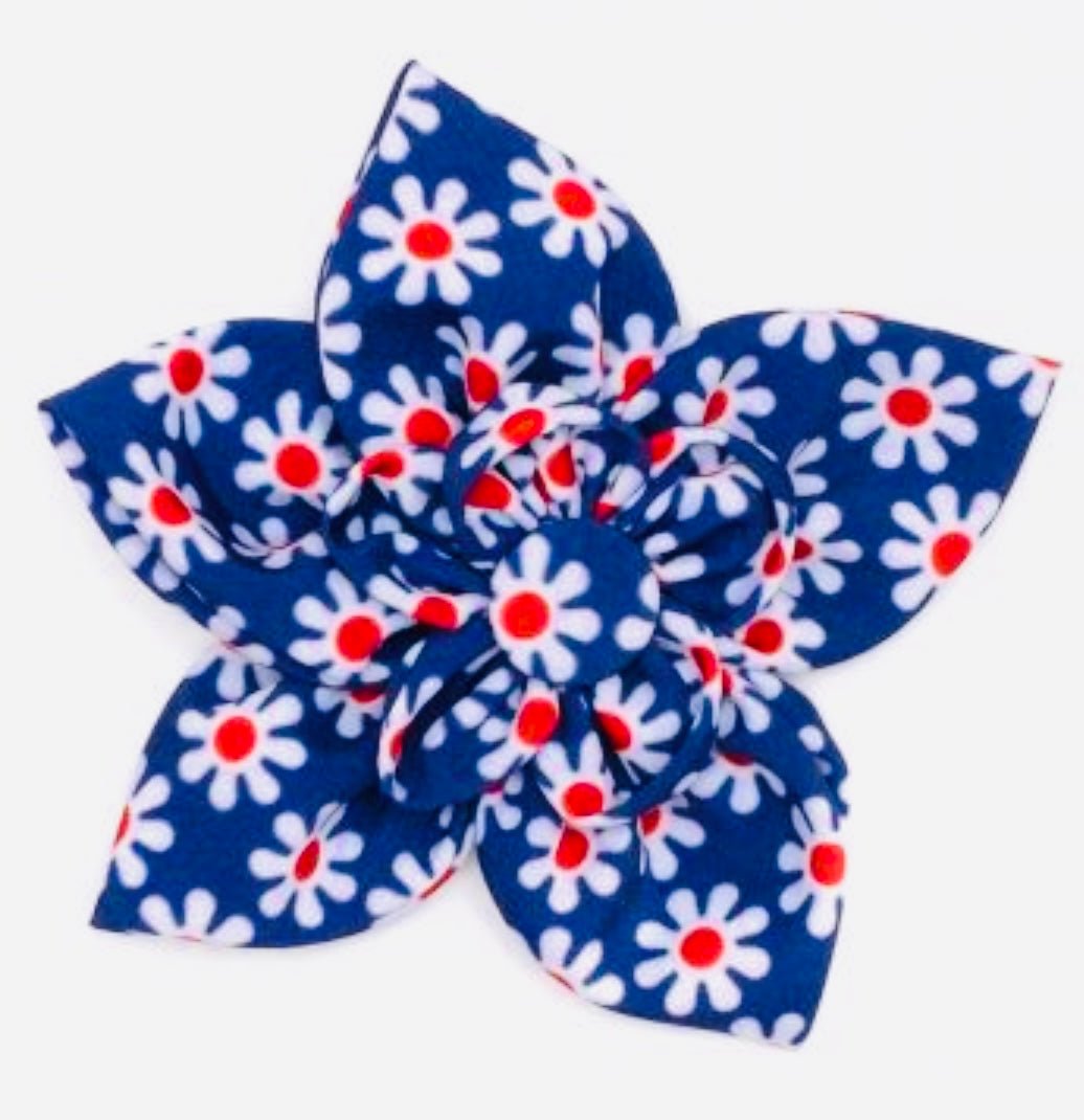 Flower - Daisies - Gussied Up Pet Boutique