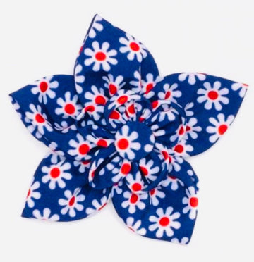 Flower - Daisies - Gussied Up Pet Boutique