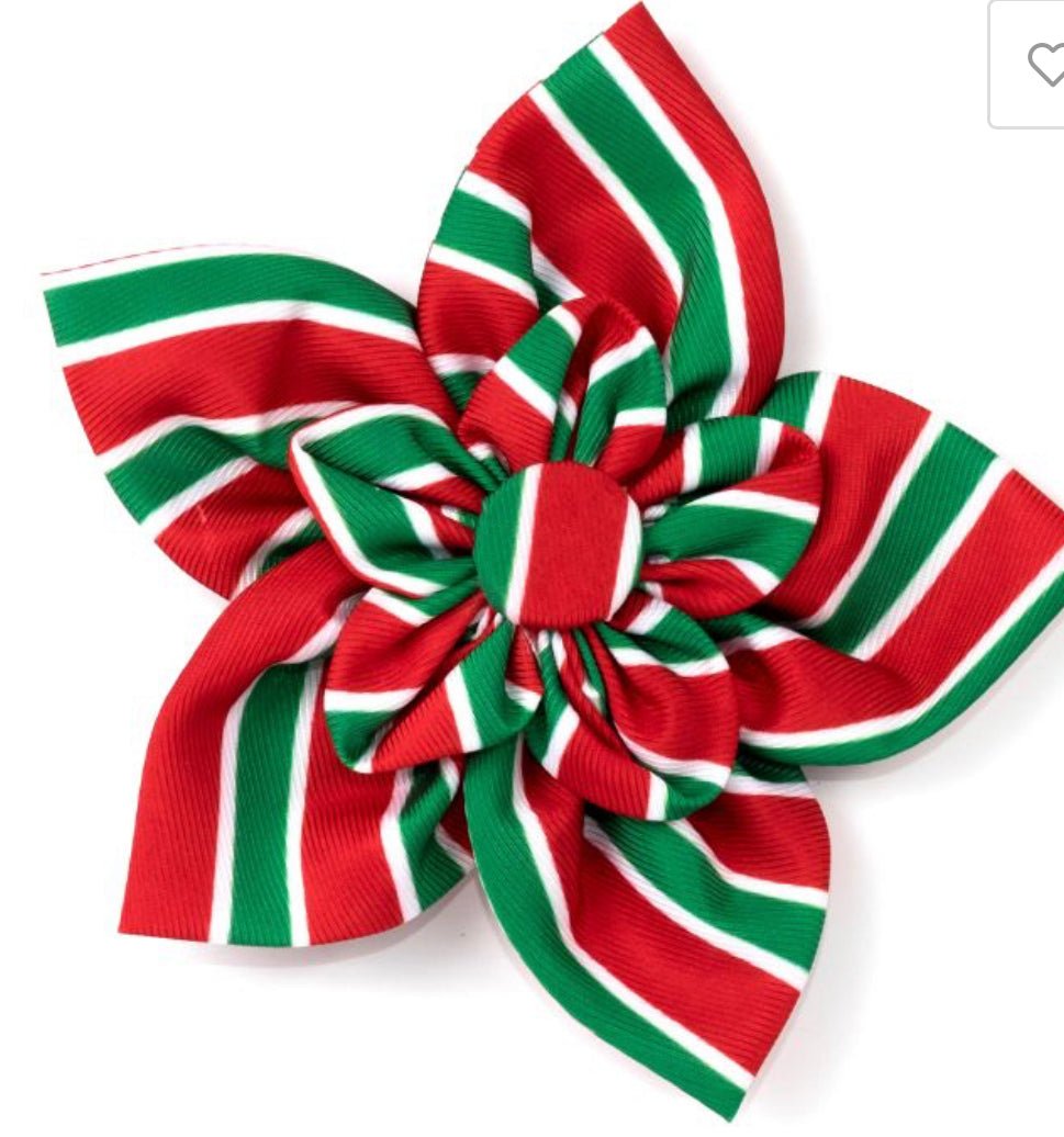 Flower - Holiday Stripe - Gussied Up Pet Boutique