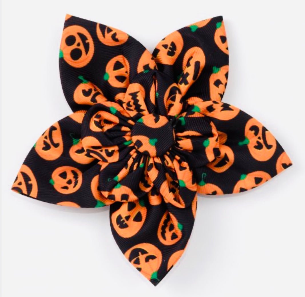 Flower - Jack - O - Lantern - Gussied Up Pet Boutique