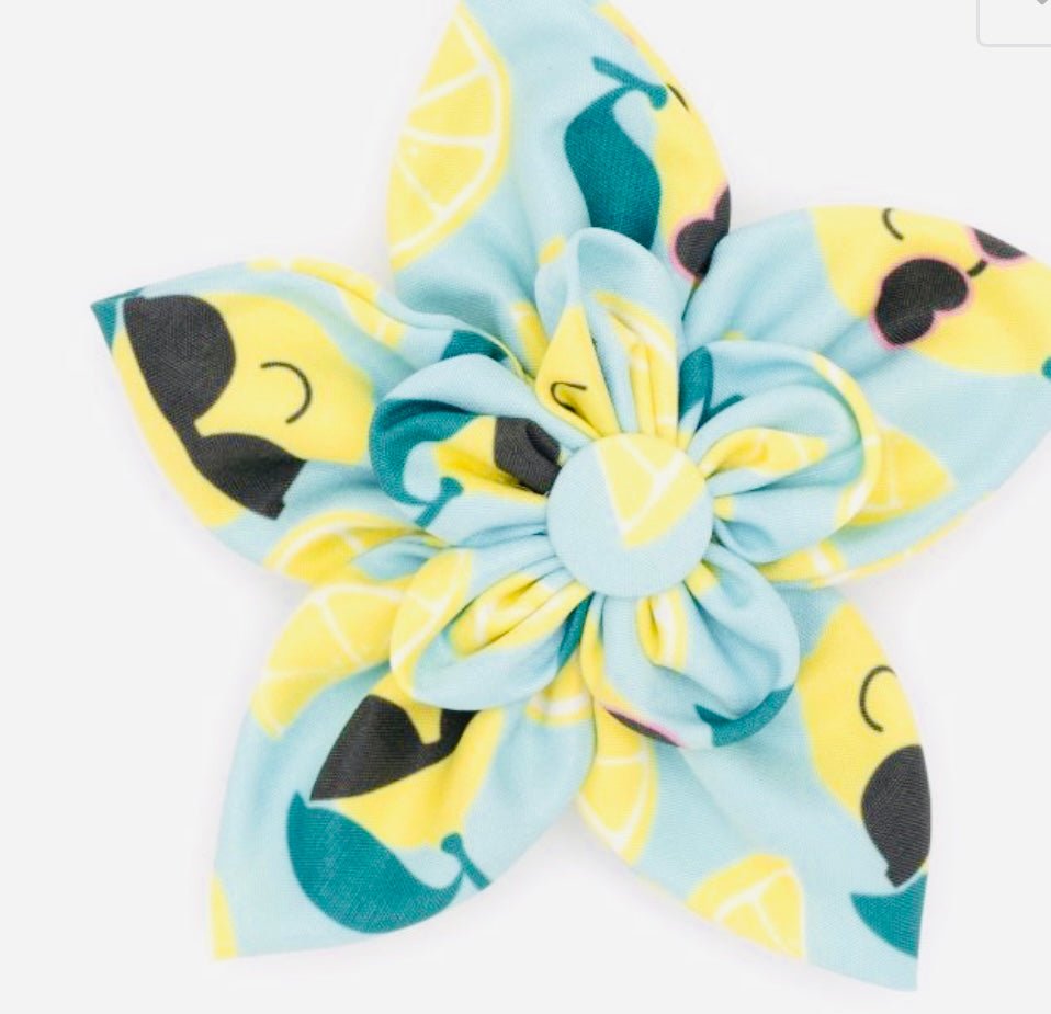 Flower - Lemons - Gussied Up Pet Boutique