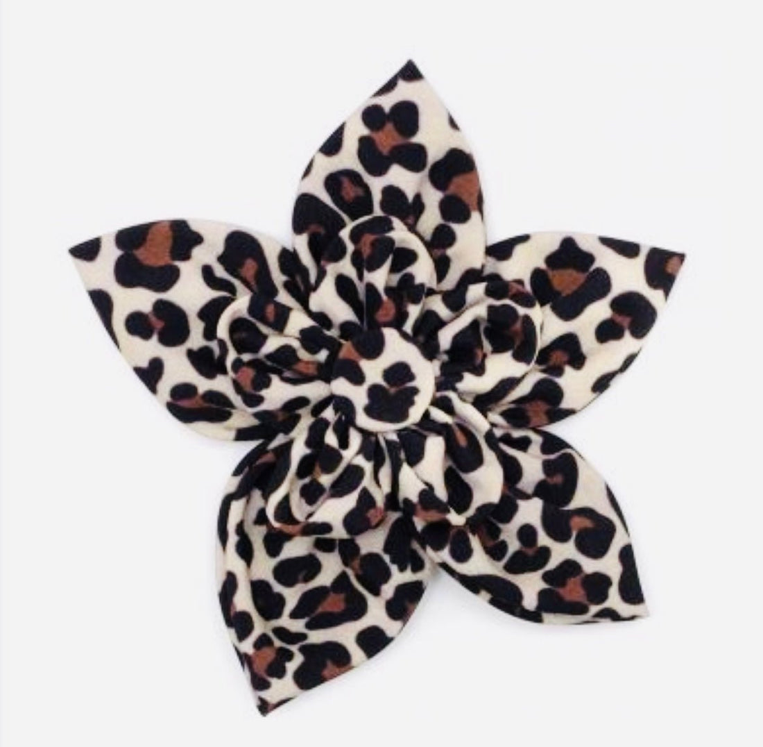 Flower - Leopard Print - Gussied Up Pet Boutique