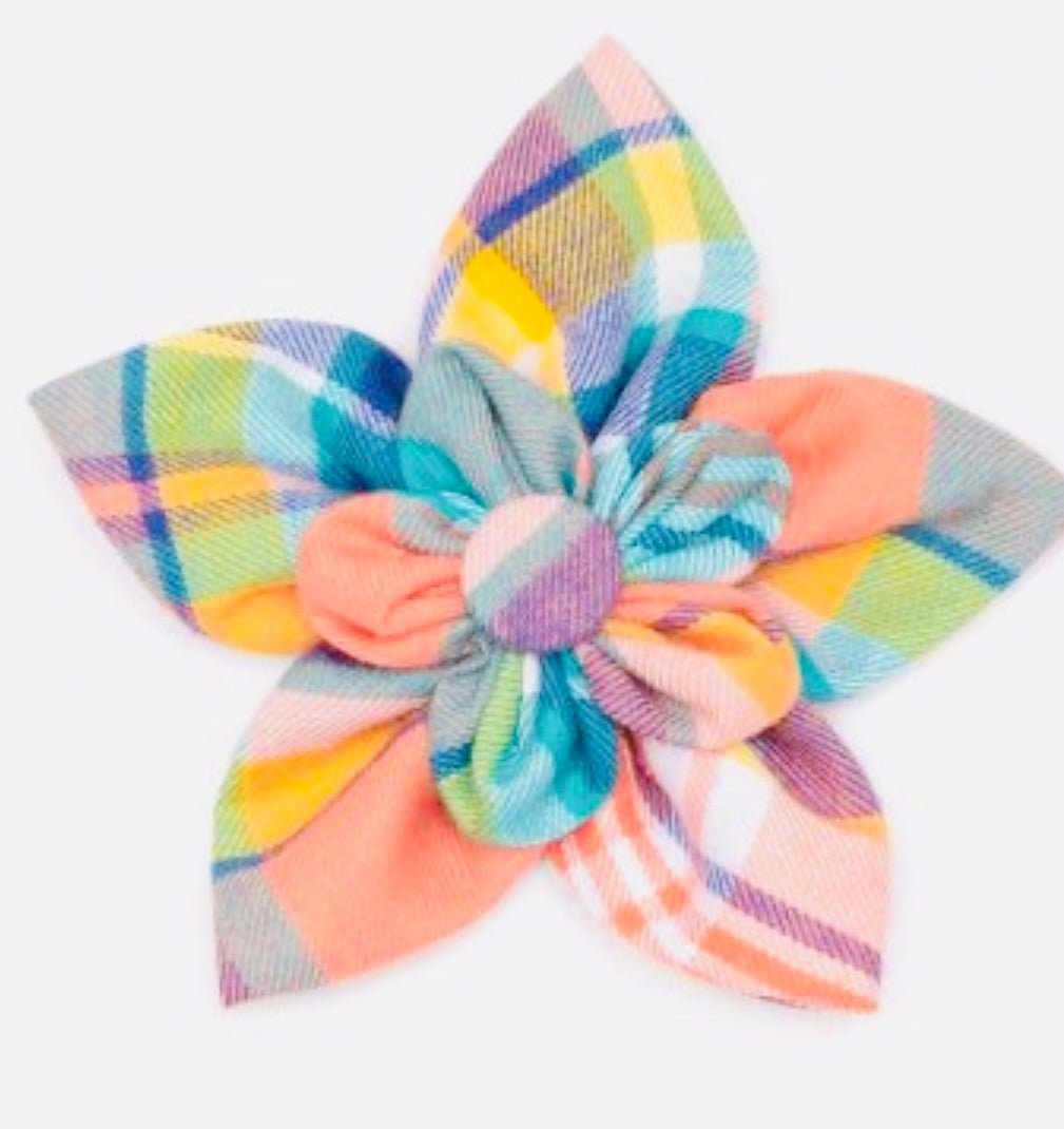 Flower - Peach Plaid - Gussied Up Pet Boutique