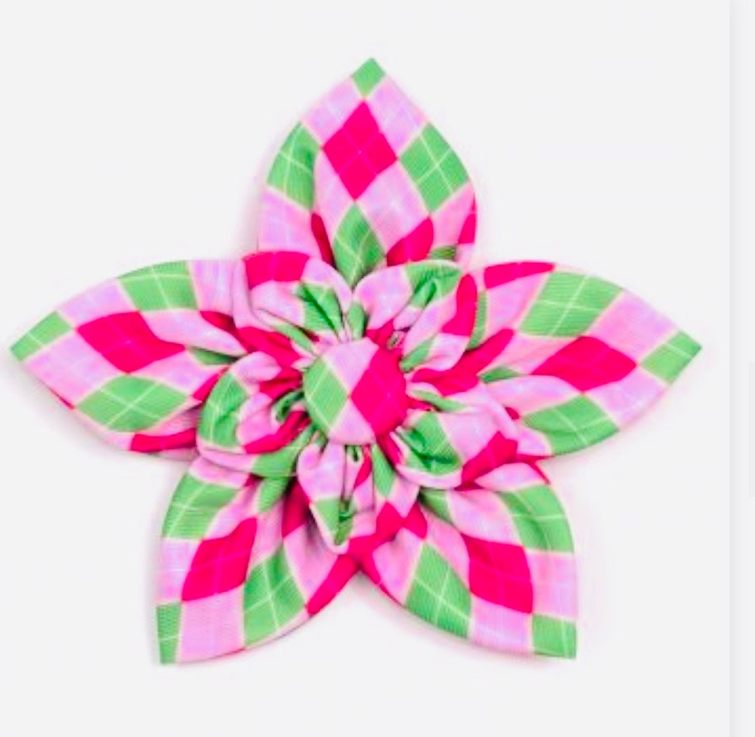Flower - Pink Argyle - Gussied Up Pet Boutique