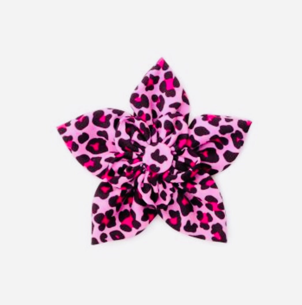 Flower - Pink Leopard Print - Gussied Up Pet Boutique