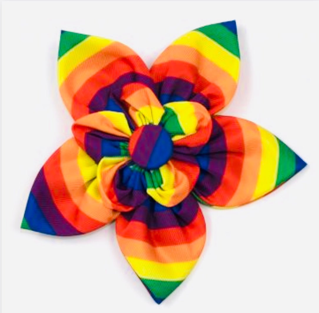 Flower - Rainbow - Gussied Up Pet Boutique