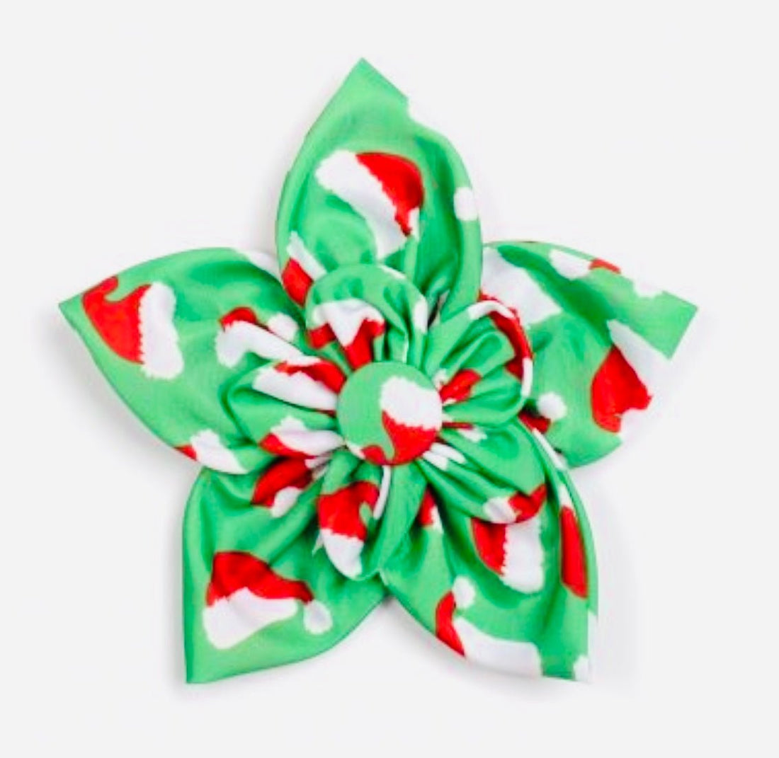 Flower - Santa Hats - Gussied Up Pet Boutique