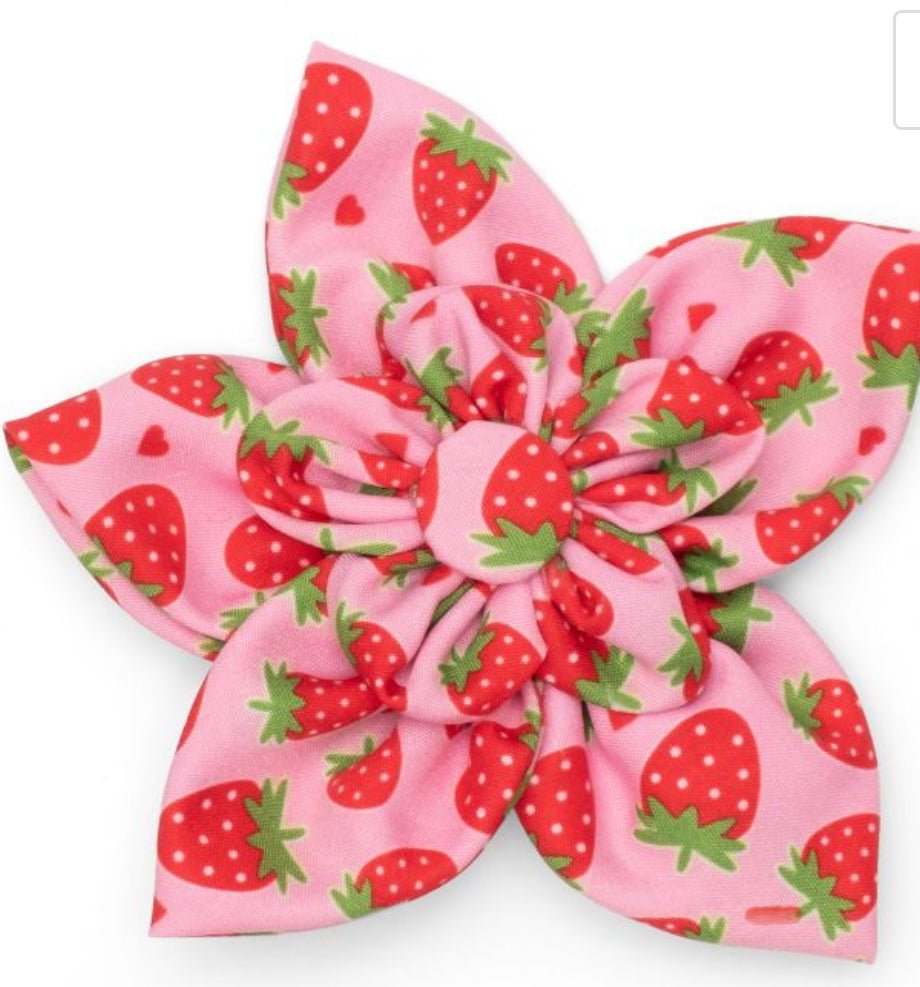 Flower - Strawberry - Gussied Up Pet Boutique