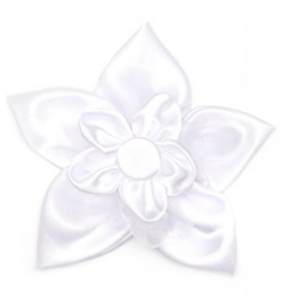 Flower - White I Do - Gussied Up Pet Boutique