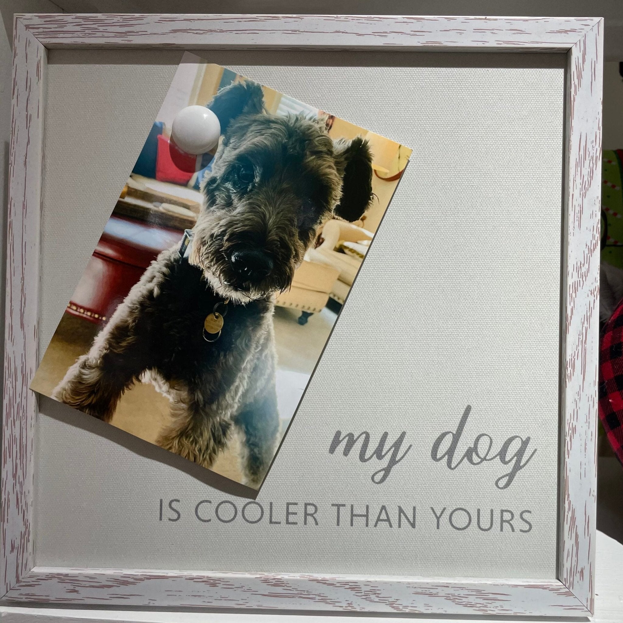 Frame - My dog is cooler - Gussied Up Pet Boutique