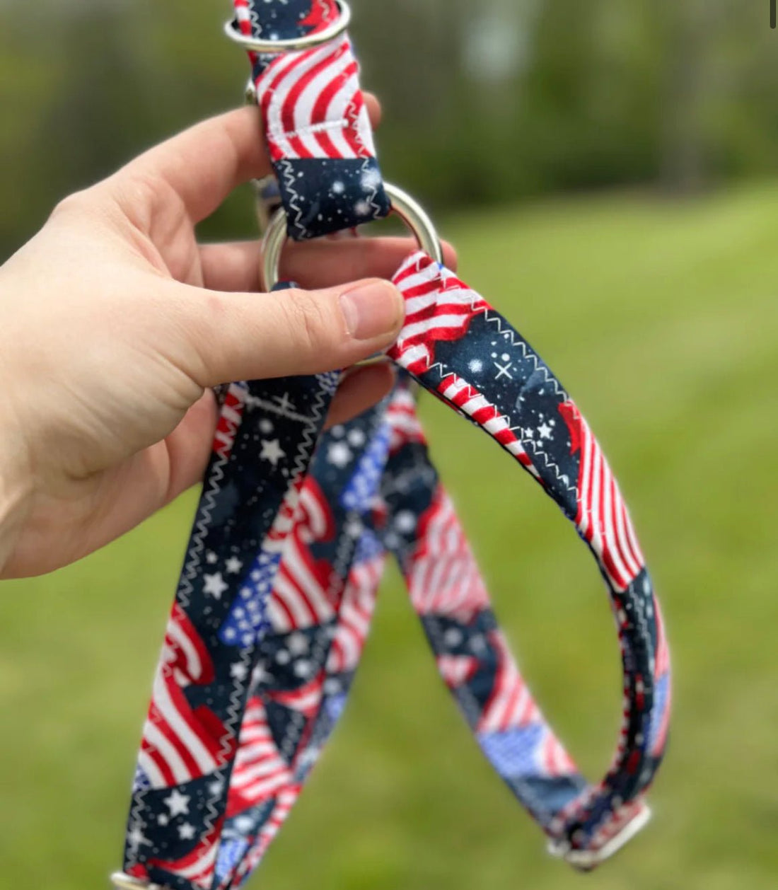 Harness - American Eagle - Gussied Up Pet Boutique