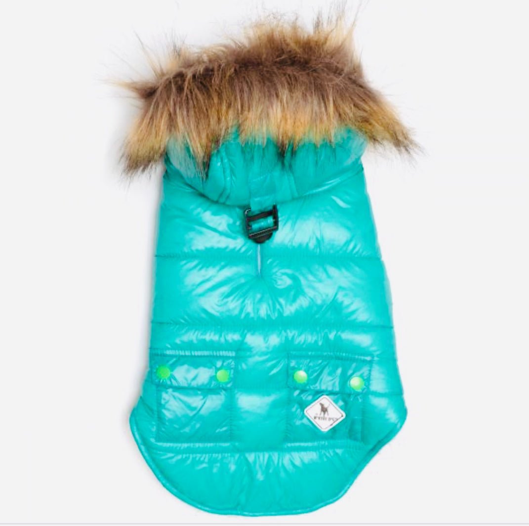 Hoodie Puffer Vest - Aqua - Gussied Up Pet Boutique