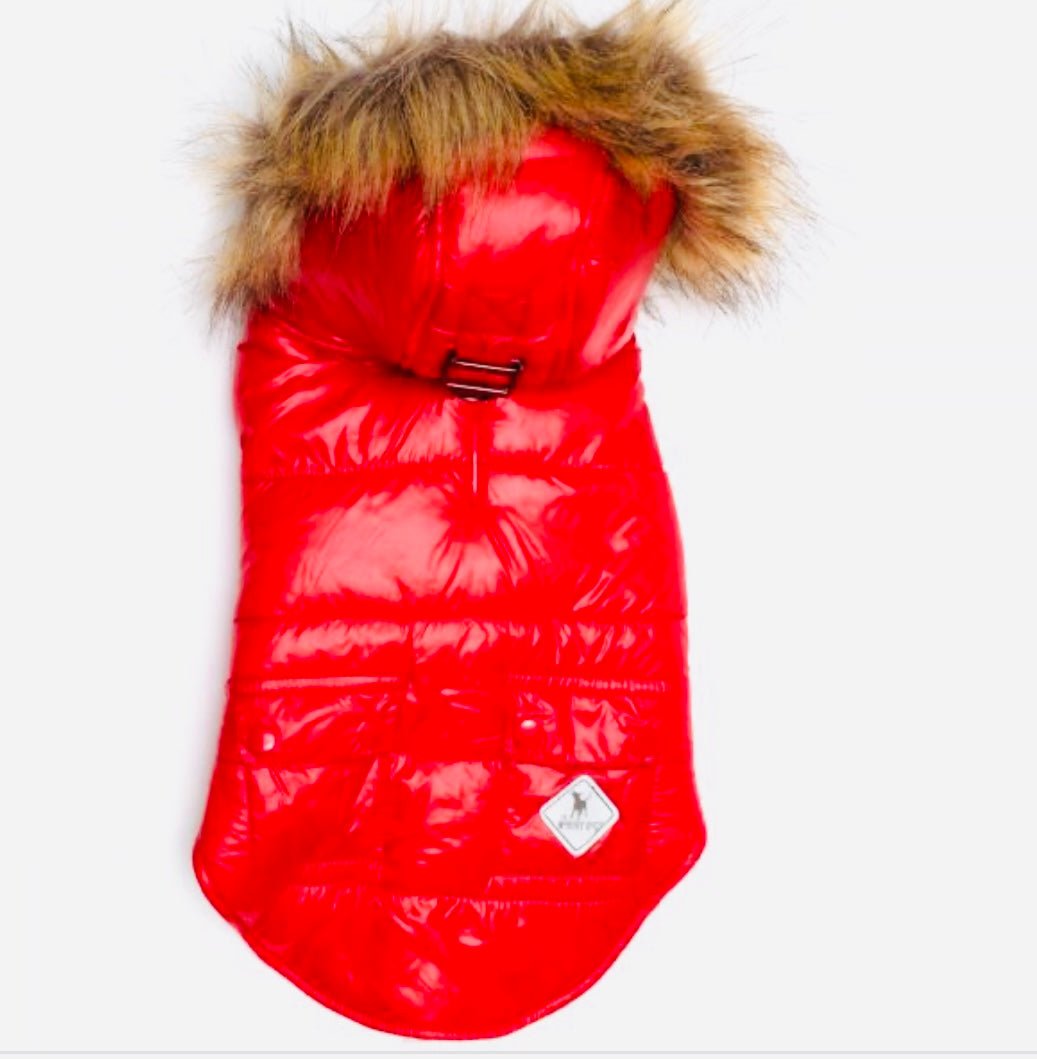 Hoodie Puffer Vest - Red - Gussied Up Pet Boutique