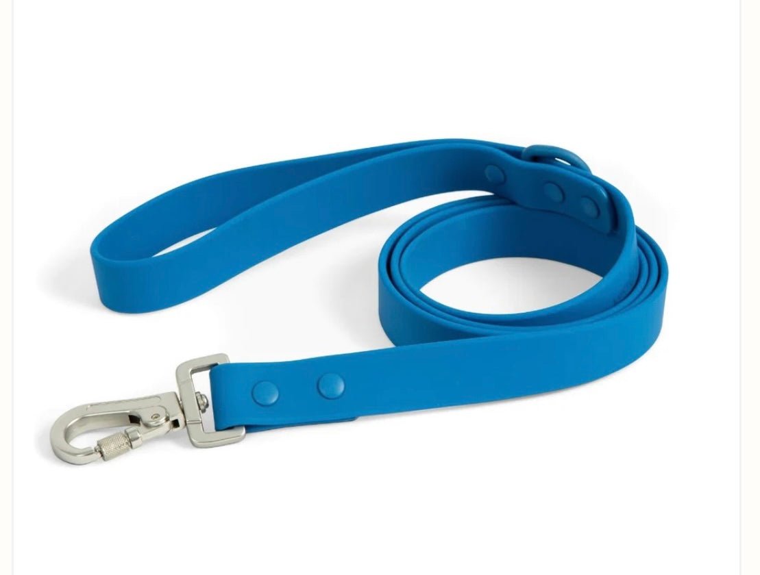 Leash - PVC Waterproof Leash (All colors) - Gussied Up Pet Boutique